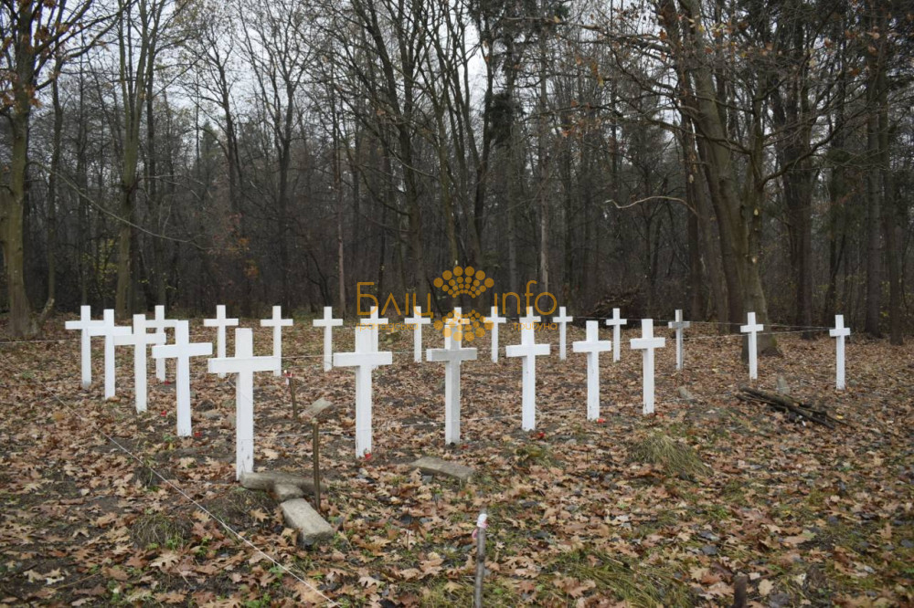 На Прикарпатті облаштовують цвинтар Першої світової