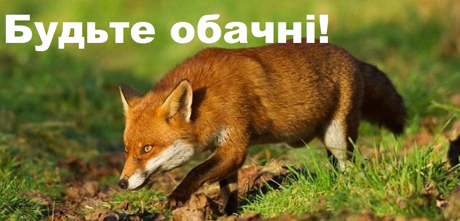 На Косівщини зафіксували спалах сказу