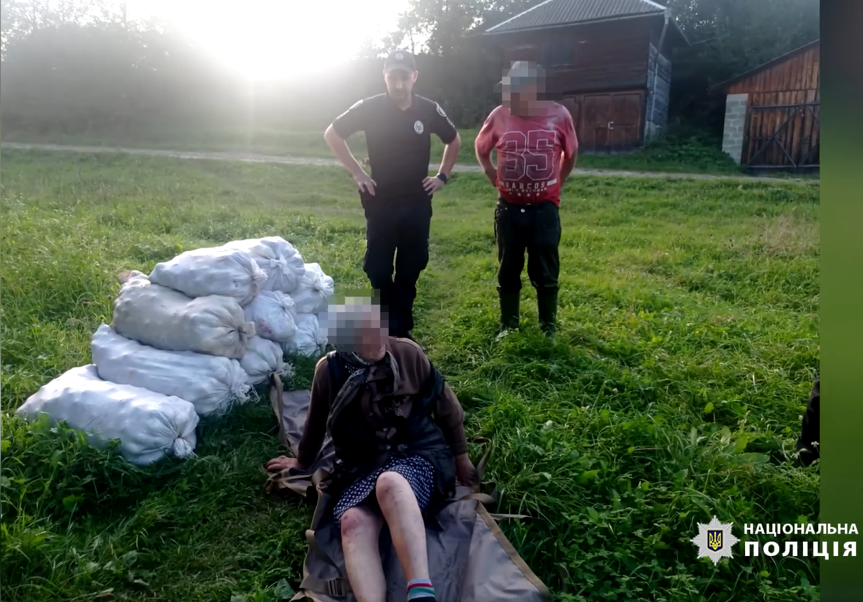 На Прикарпатті пенсіонерка пішла по гриби та заблукала