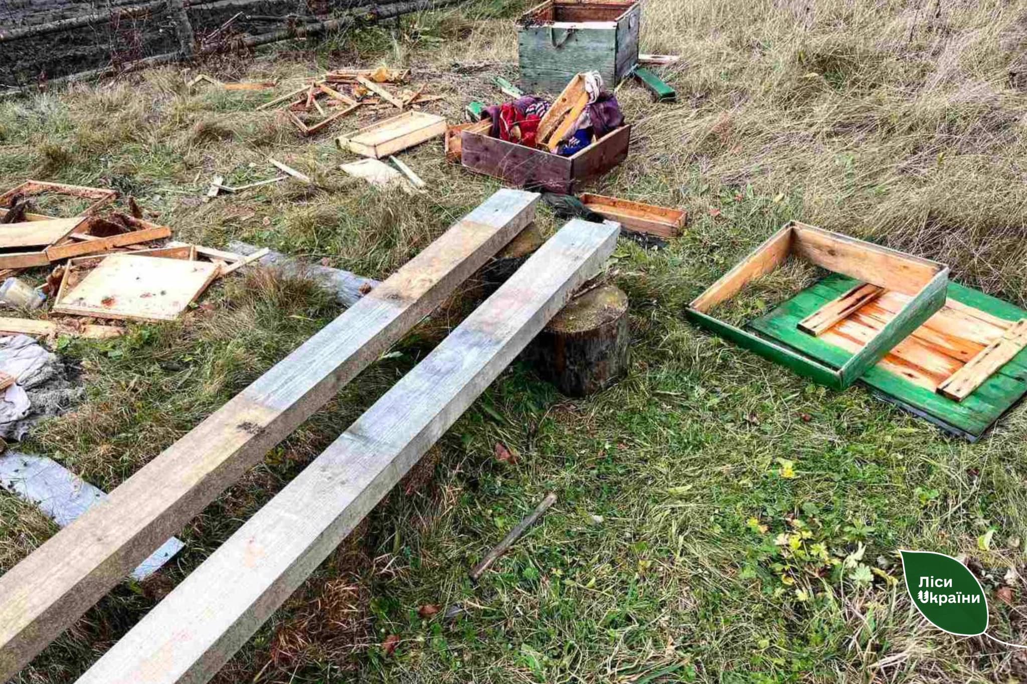 У Прикарпатті ведмеді пошкодили вулики, щоб насолодитися медом (ФОТО)