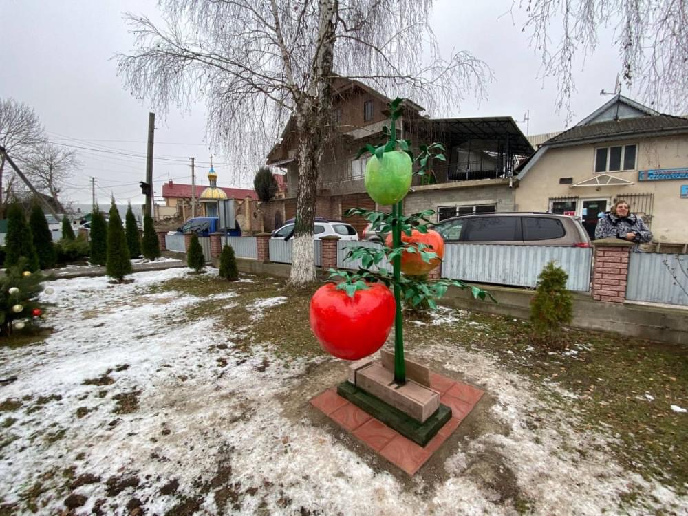 На Прикарпатті встановлено перший пам'ятник помідору