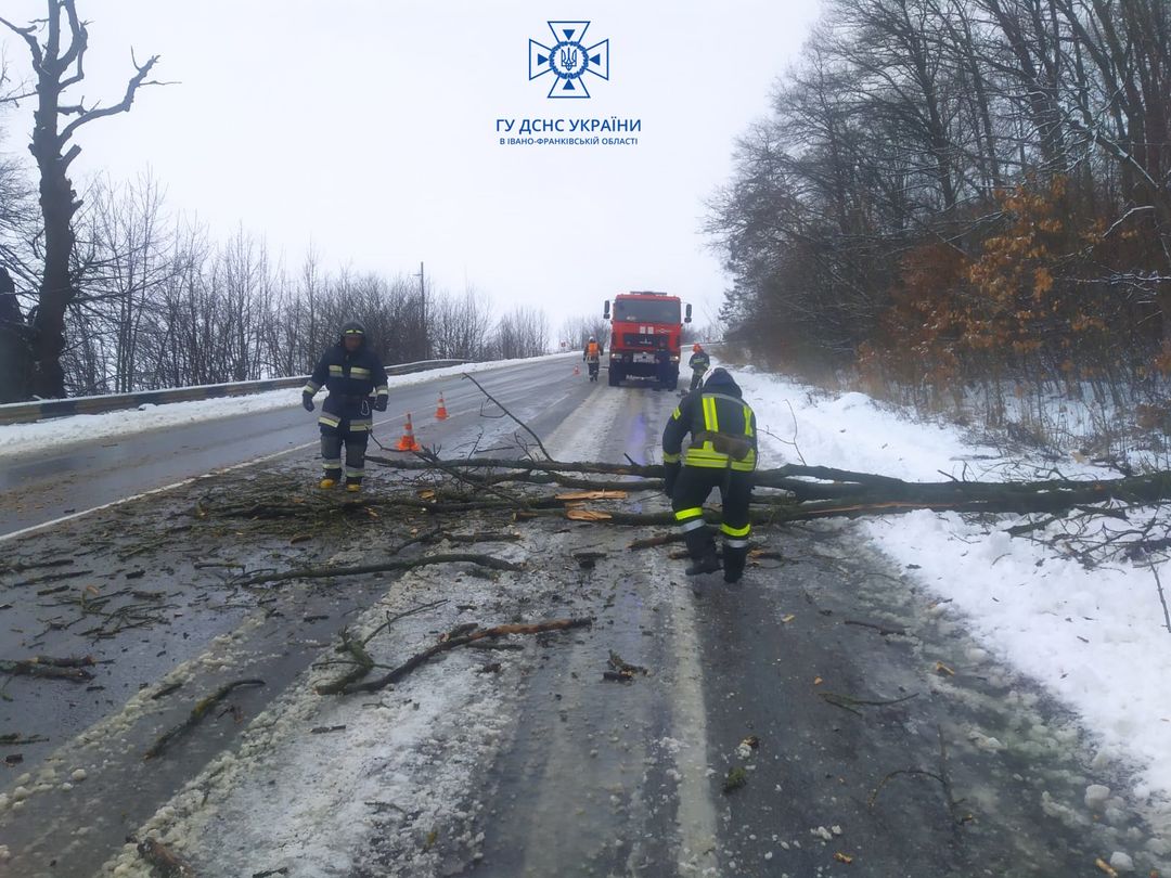 На Тлумаччині через негоду на частину дороги впало дерево
