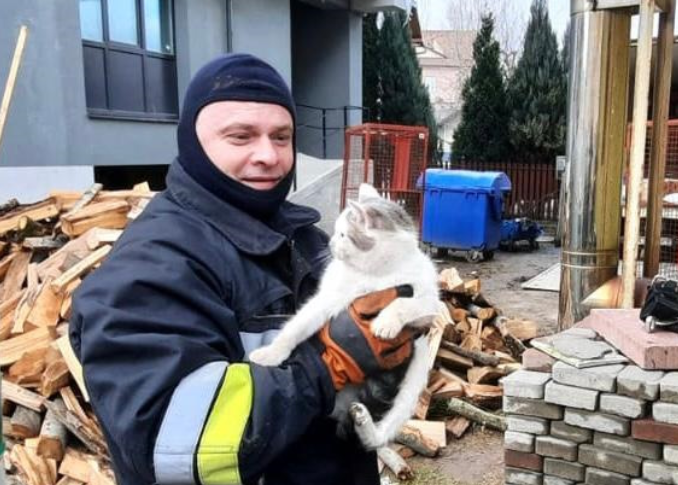 Коломийські надзвичайники вивільнили котика з отвору бетонної плити