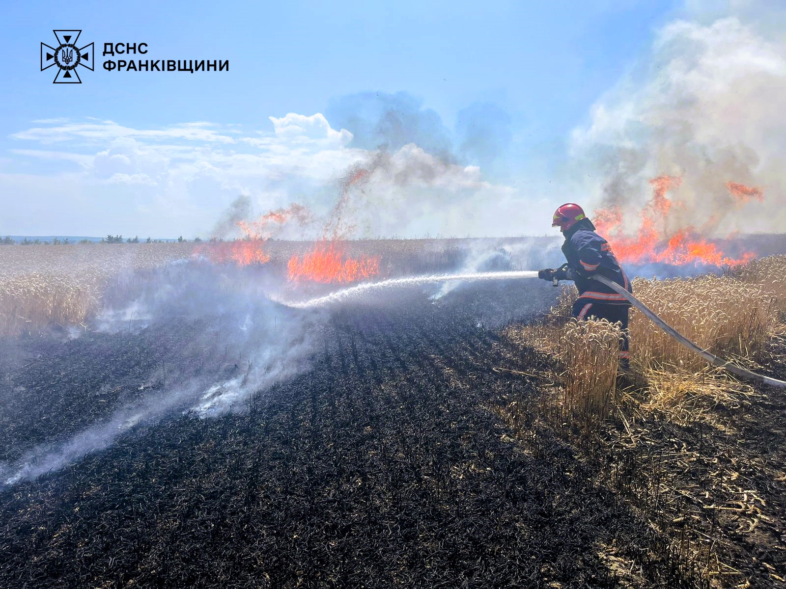 В Обертині рятувальники ліквідували пожежу пшениці на полі