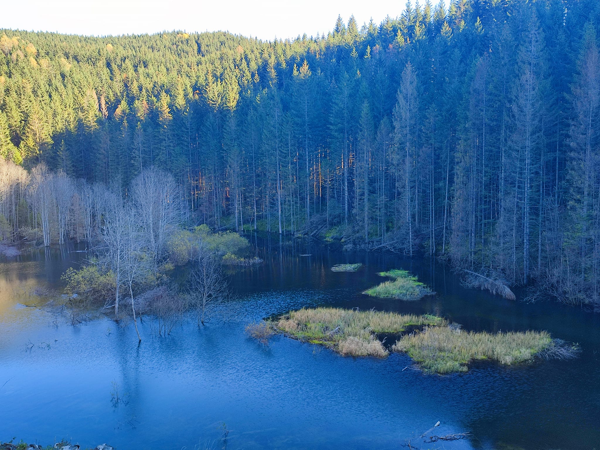 У Карпатах через вирубку лісу утворилось штучне озеро