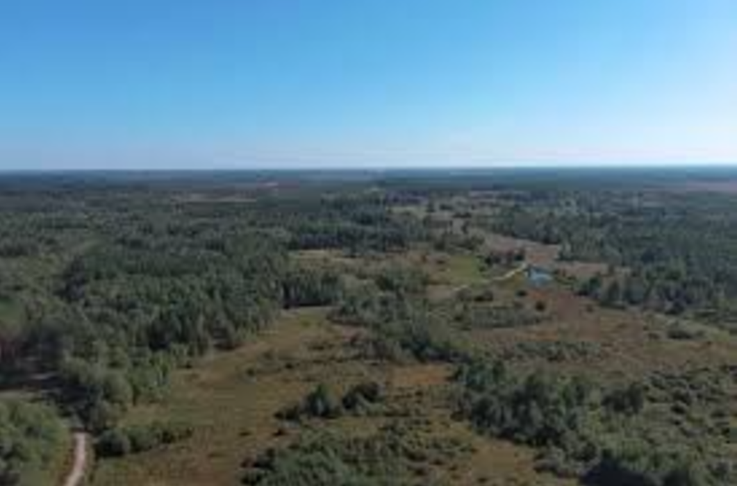 На Прикарпатті державі повернули землі лісового фонду вартістю 74 млн грн