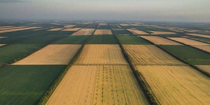 В Україні зафіксовано рекордне зростання цін на сільськогосподарську землю